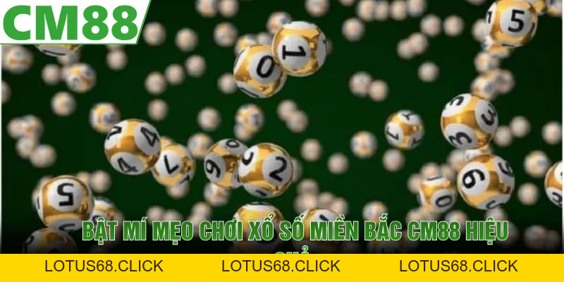 Xổ Số Miền Bắc Cập Nhật Nhanh Chóng, Đặt Cược Dễ Dàng Tại CM88 - Lotus68