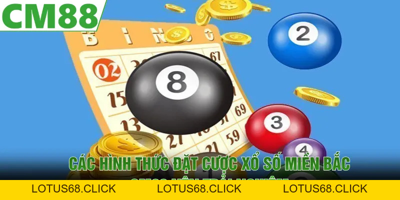 Xổ Số Miền Bắc Cập Nhật Nhanh Chóng, Đặt Cược Dễ Dàng Tại CM88 - Lotus68